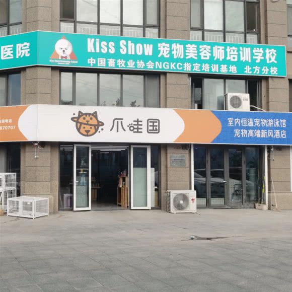 爪哇国室内恒温宠物游泳馆:青岛市市北区凯德广场附近