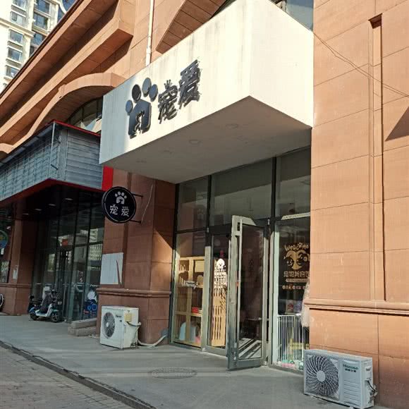 宠爱:青岛市黄岛区开发区附近