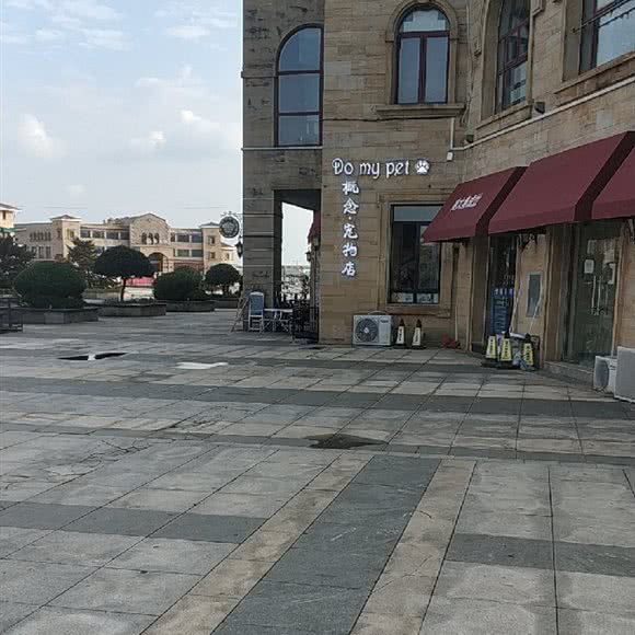 Do my pet概念·宠物:青岛市黄岛区开发区附近