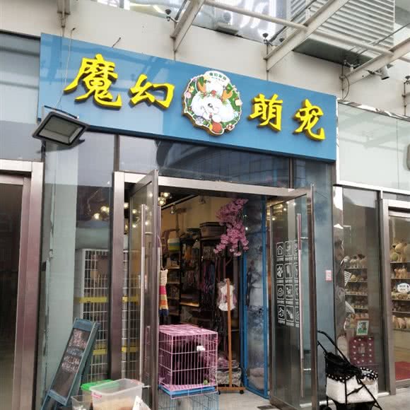 魔幻萌宠:青岛市黄岛区开发区附近