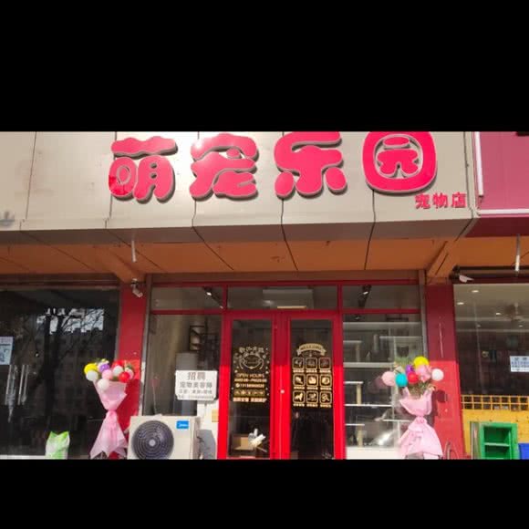 萌宠乐园:青岛市黄岛区长江路沿线附近