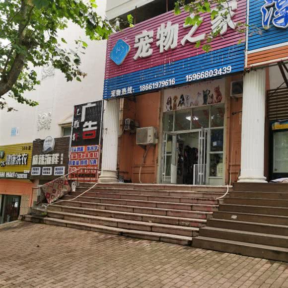 宠物之家(庐山路店):青岛市黄岛区官厅附近