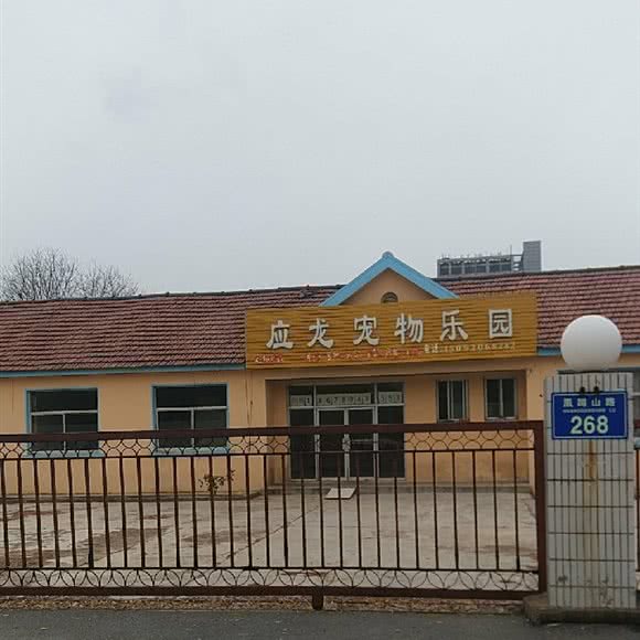 应龙宠物乐园:青岛市黄岛区胶南海王路附近