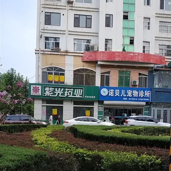 诺贝儿宠物诊所:青岛市黄岛区双珠路/珠海路附近