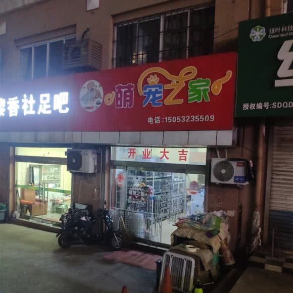 萌宠之家:青岛市黄岛区老黄岛附近