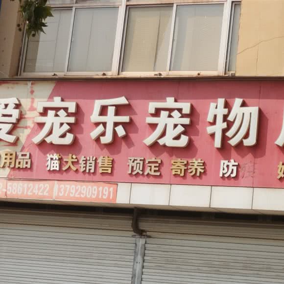爱宠乐宠物店:青岛市黄岛区老黄岛附近