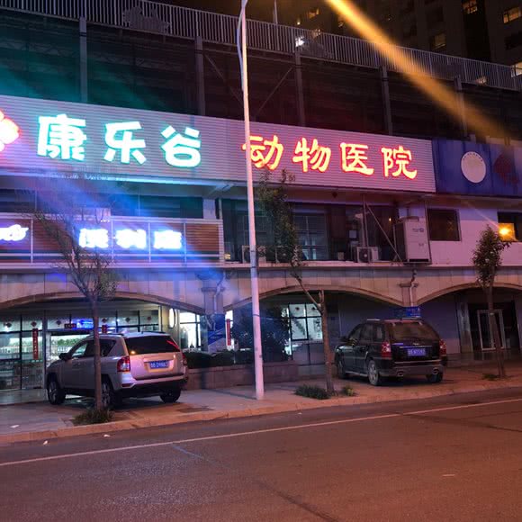 黄岛宠物医院:青岛市黄岛区濠洼附近