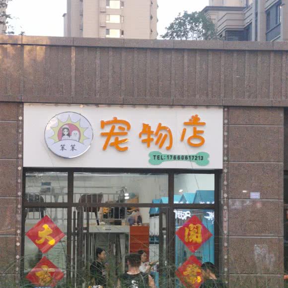 宠物店:青岛市黄岛区胶南附近