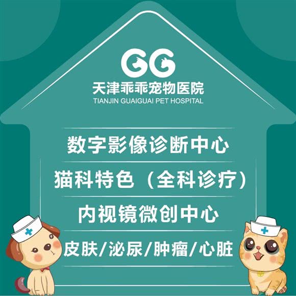 乖乖宠物医院24小时(名扬分院):天津城区河东区太阳城附近