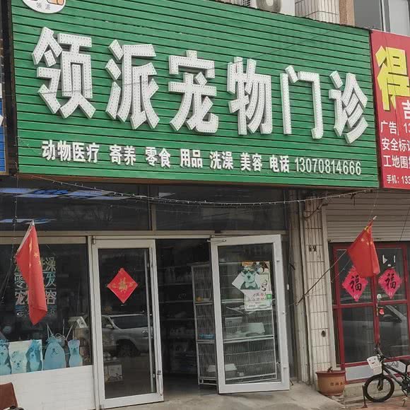 领派宠物门诊:青岛市黄岛区胶南附近