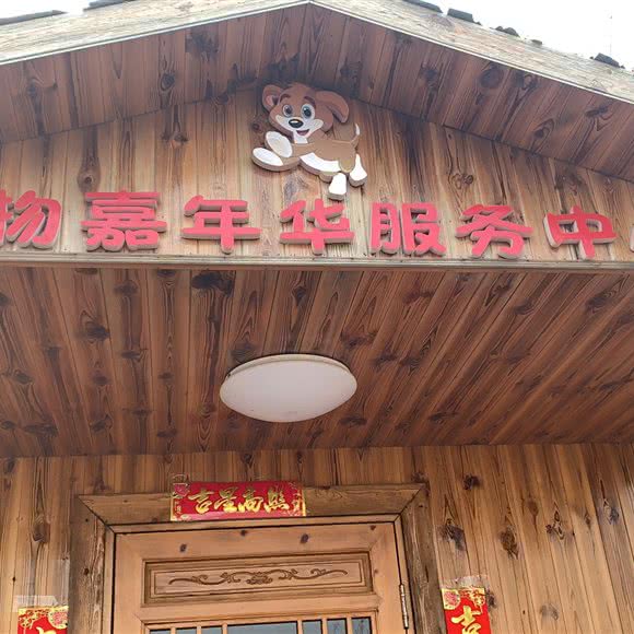 宠物嘉年华:青岛市崂山区极地海洋世界附近