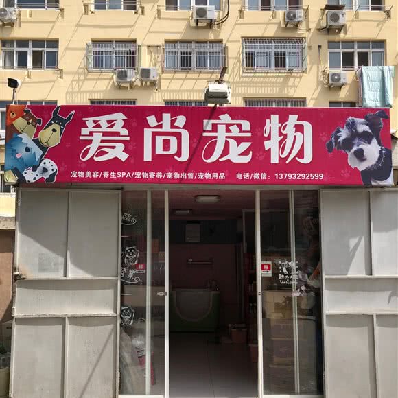 爱尚狗狗:青岛市李沧区维客广场附近