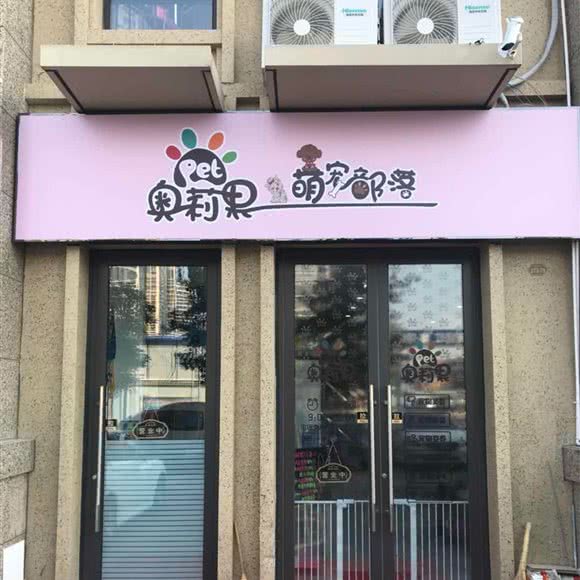 奥莉果.萌宠部落:青岛市李沧区万达广场附近