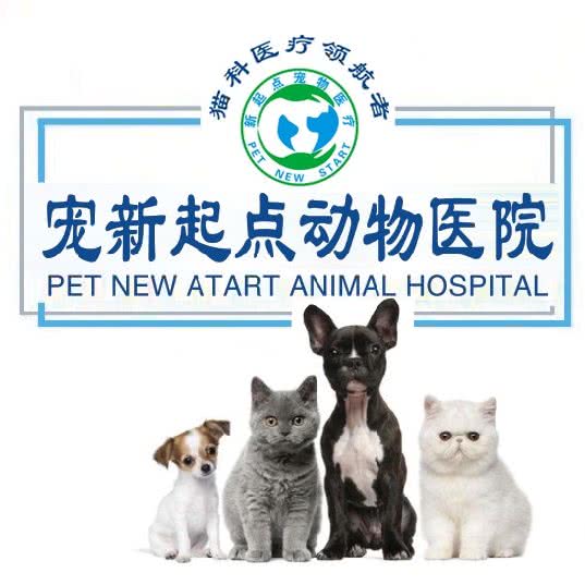 宠新起点动物医院(李沧万达店):青岛市李沧区万达广场附近