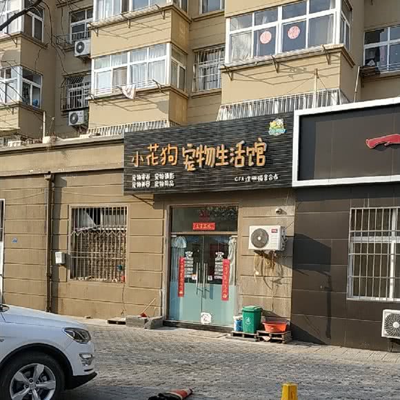小花狗宠物生活馆:青岛市李沧区沧口/李沧附近