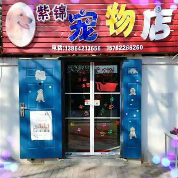 紫锦宠物店(唐山路紫锦宠物用品店):青岛市李沧区沧口/李沧附近