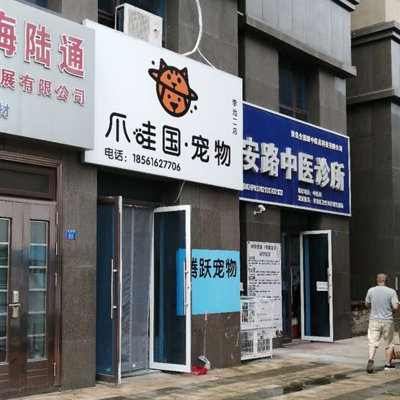 爪哇国宠物(李沧二店):青岛市李沧区沧口/李沧附近