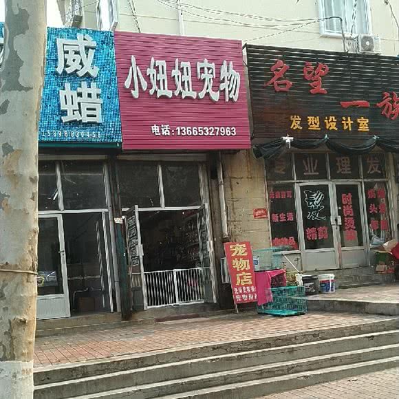小妞妞宠物:青岛市李沧区沧口/李沧附近