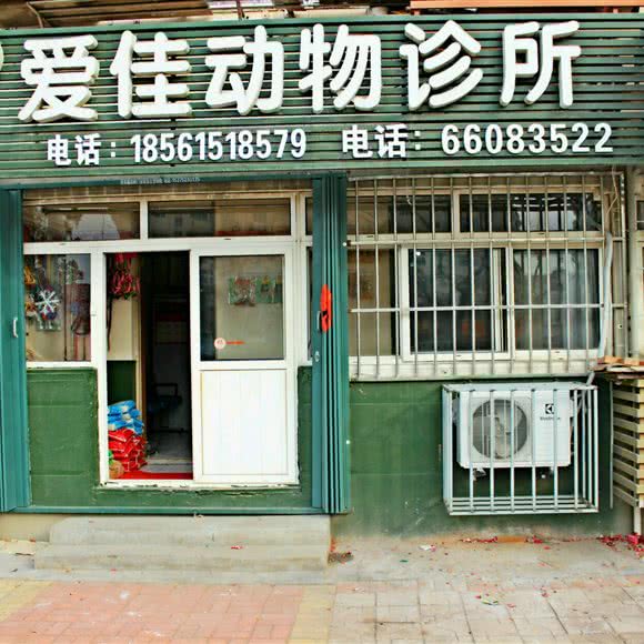 爱佳伴侣动物医院:青岛市李沧区沧口/李沧附近