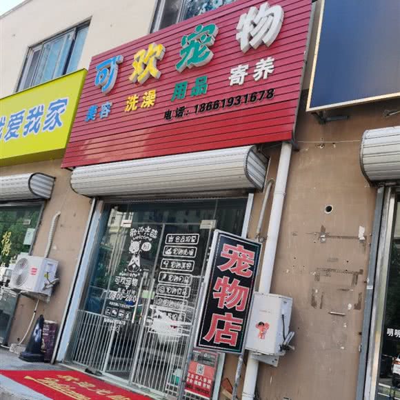 可欢宠物:青岛市李沧区李沧宝龙附近