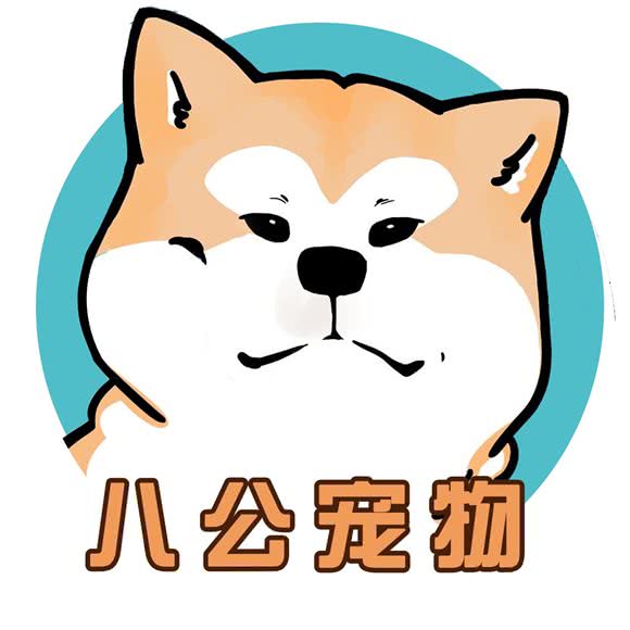八公宠物:天津城区河东区区政府附近