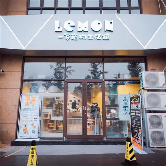 Lemon一家宠物生活馆:青岛市李沧区九水东路附近