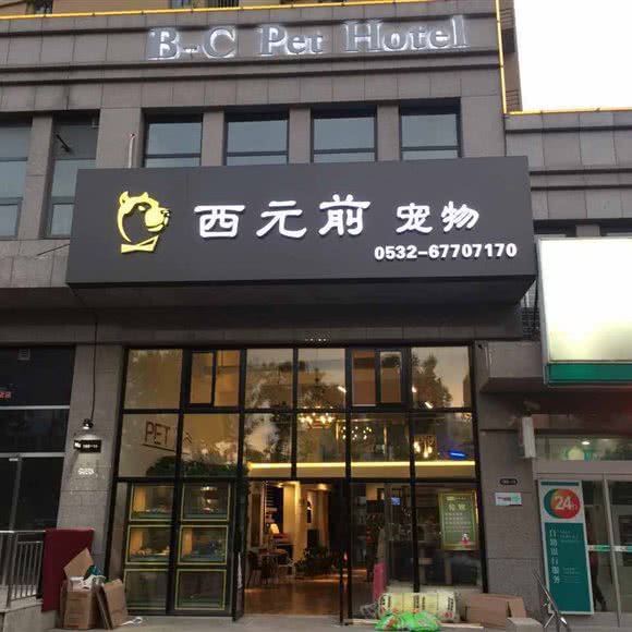 西元前宠物酒店:青岛市李沧区九水东路附近
