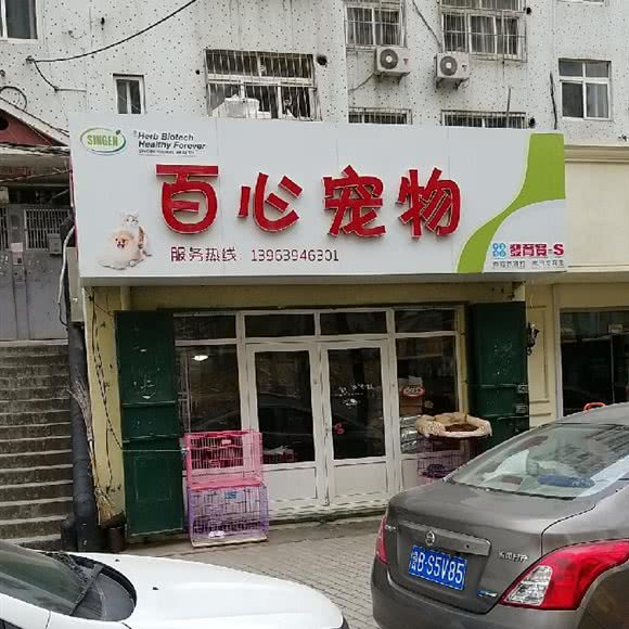 百心宠物:青岛市李沧区李村公园附近