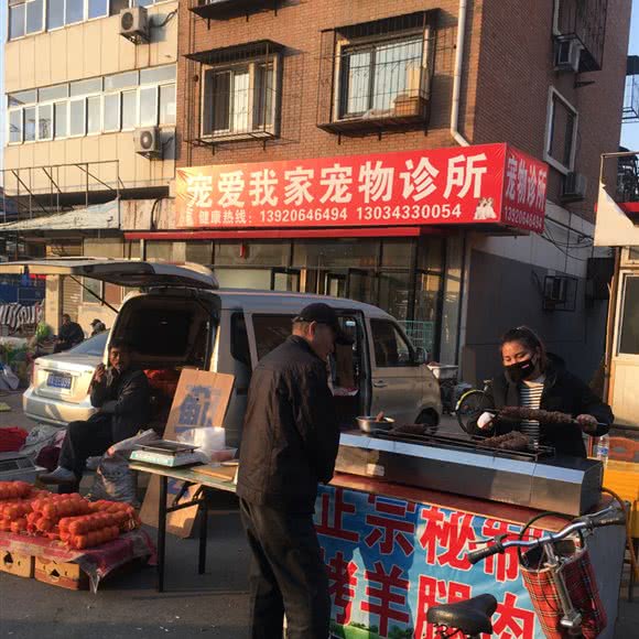宠爱我家宠物诊所:天津城区河东区区政府附近