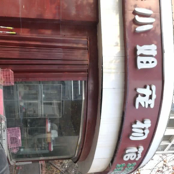 哈小姐宠物馆(南流路店):青岛市城阳区流亭机场/重庆北路附近
