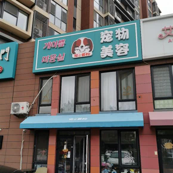 宠爱别人:青岛市城阳区青特上豪/家佳源附近