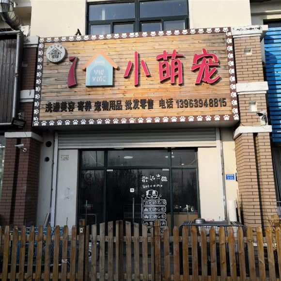 小萌宠:青岛市城阳区琴岛学院附近