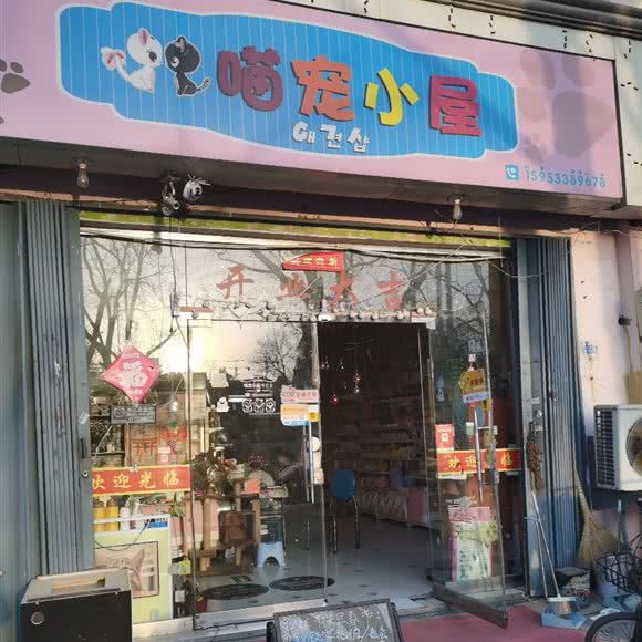 喵宠小屋:青岛市城阳区平阳路附近