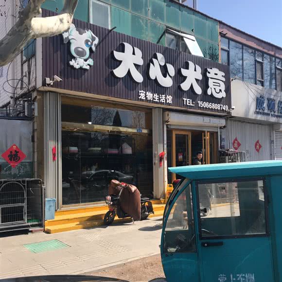 犬心犬意:青岛市即墨区新利群商场附近