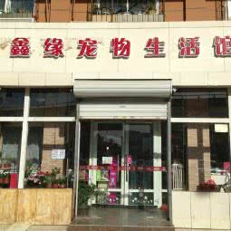 鑫缘宠物生活馆:天津城区河东区工业大学附近
