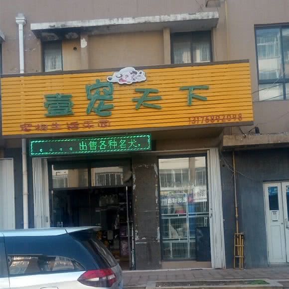 壹宠天下宠物店:青岛市即墨区服装市场附近