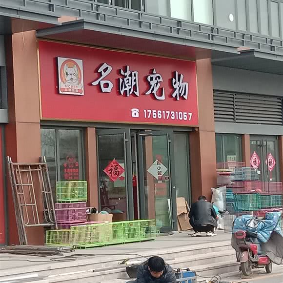 名潮宠物:青岛市胶州市胶州市附近