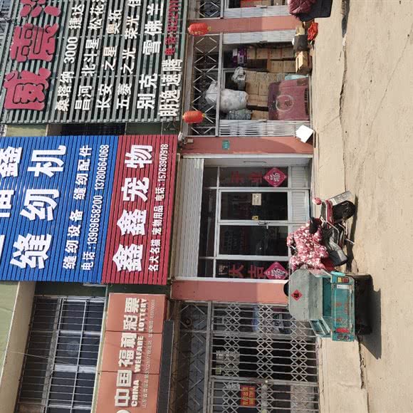 鑫鑫宠物:青岛市胶州市胶州市附近