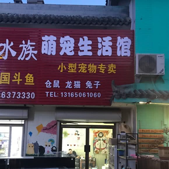 萌宠生活馆:青岛市胶州市胶州市附近