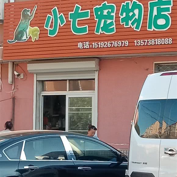 小七宠物店:青岛市胶州市胶州市附近