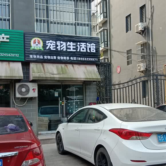 宠物生活馆:青岛市胶州市胶州市附近