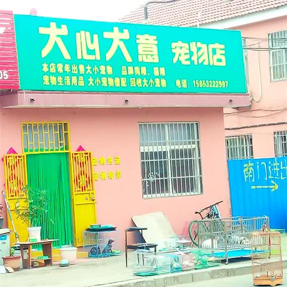 犬心犬意宠物店:青岛市胶州市胶州市附近