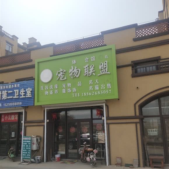 宠物联盟(胶东店):青岛市胶州市胶州市附近