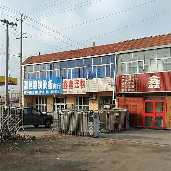 鑫鑫宠物店:青岛市胶州市胶州市附近