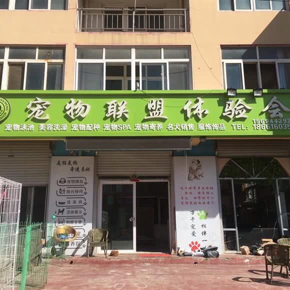 宠物联盟:青岛市胶州市胶州市附近