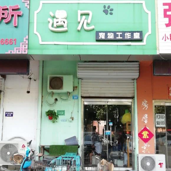 遇见宠物工作室:青岛市胶州市胶州市附近