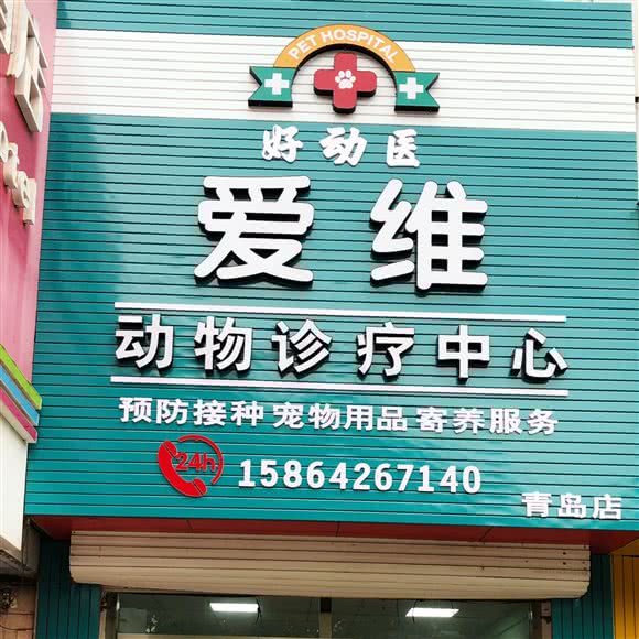 爱维好动医动物医院:青岛市胶州市胶州市附近