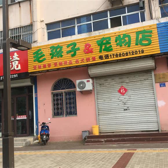 毛孩子宠物店:青岛市平度市平度市附近