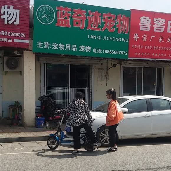 蓝奇迹宠物:青岛市莱西市莱西市附近