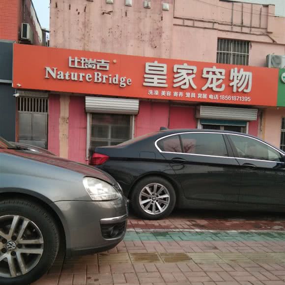 比瑞吉皇家宠物:青岛市莱西市莱西市附近